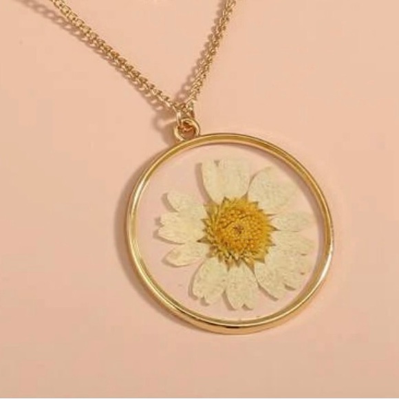 Darling Daisy Genuine Pressed Preserved Dried Gold Flower Floral Summer Necklace - Picture 14 of 16